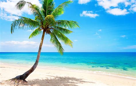 Image result for Beach Python Code