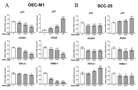 Combined Treatment of Heteronemin and Tetrac Induces Antiproliferation ...