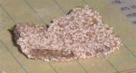 Image result for Toad Eating Drywall