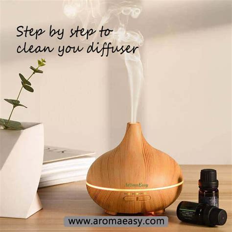 Image result for Clean Essential Oil Diffuser