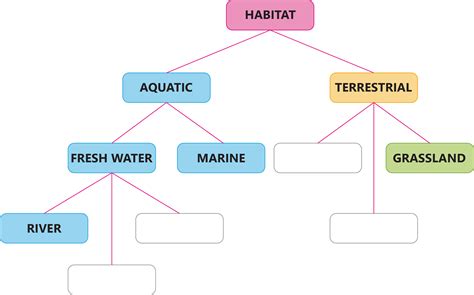 Answer in detail II — task. Science State Board, Class 6.