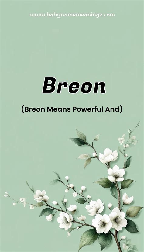 Breon name meaning origins nicknames sibling ideas – Artofit