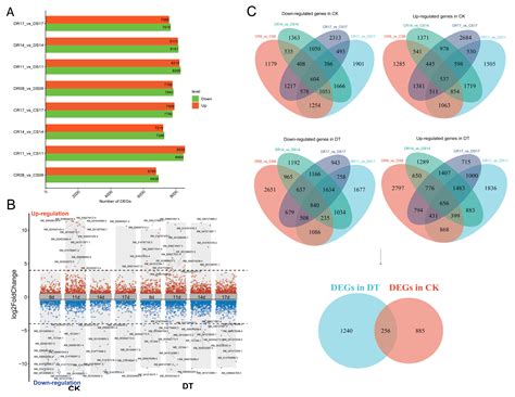 Transcriptomic Profiling Unravels the Molecular Mechanisms of GmCML ...