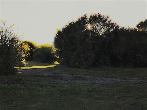 Bleeding for the light | Meer