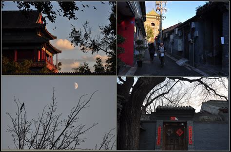 北京城写真 – 书格