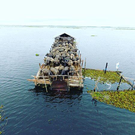 South Kalimantan Tourism (2024): All You Need to Know Before You Go