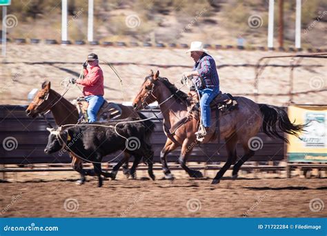 Roping Competition 的图像结果