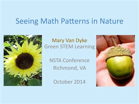 Image result for Math Nature Pattern
