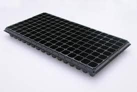 TRAY ( 100 UNITS) | BigHaat
