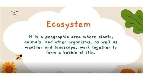 Abiotic component Types 的图像结果