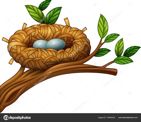 Two Eggs Bird Nest — Stock Vector © dreamcreation01 #175944334