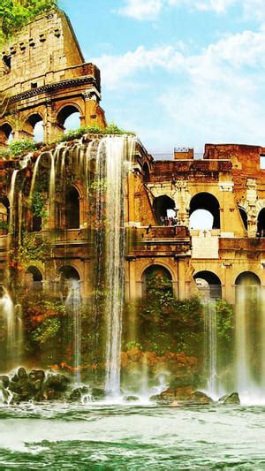 Image result for Download Video Coli