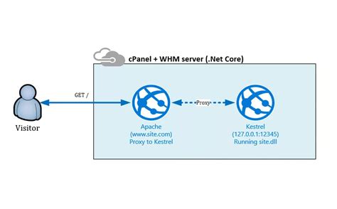 Image result for Netcore Linux GUI