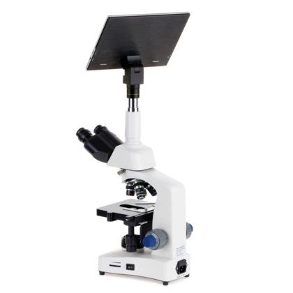 AmScope T340 Series Siedentopf Trinocular Compound Microscope 40X-1000X ...