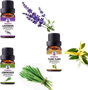 Shoppitzzo LAVENDER,LEMONGRASS,YLANG YLANG-100% Pure & Natural ...