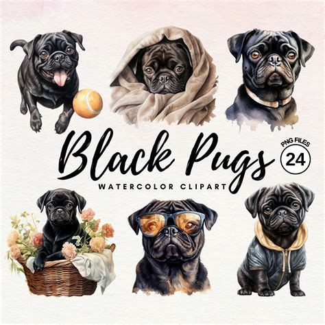 Black Pug Clipart Watercolor Pug Clipart Bundle Dog PNG Cute Dog ...