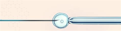 आयव्हीएफ म्हणजे काय? - Bavishi Fertility Institute