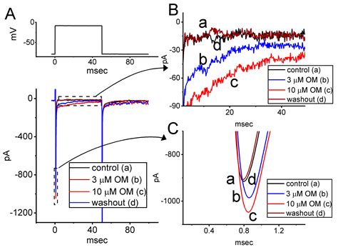 Characterization of Stimulatory Action on Voltage-Gated Na+ Currents ...