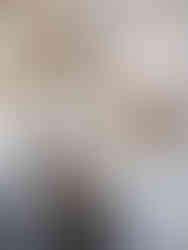 Top 5 False Ceiling Choices