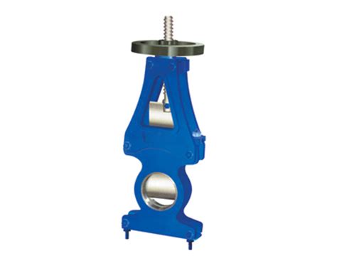 Top Pulp Valve | Chamunda Engineering