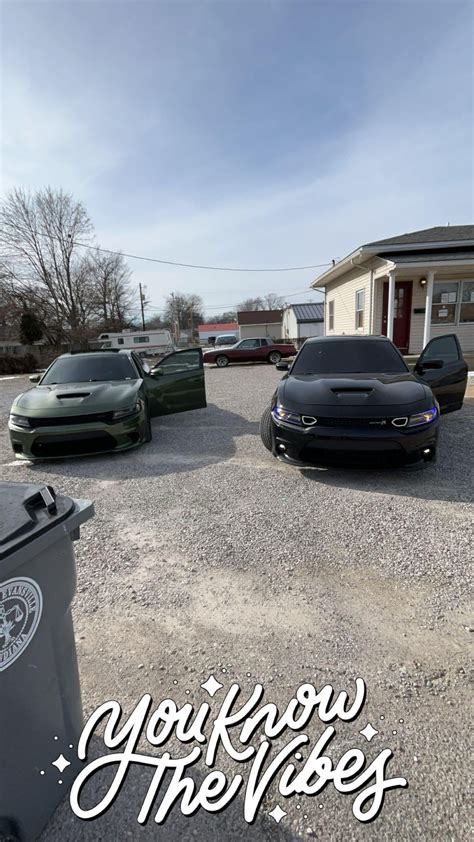 Just 2 Scat packs Doing Scat Pack Things🐝 : r/ScatPack