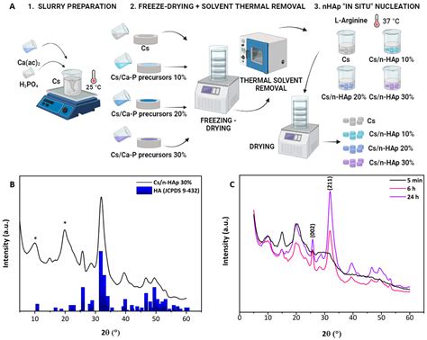 Towards Complex Tissues Replication: Multilayer Scaffold Integrating ...