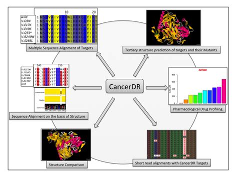 CancerDR: Information page
