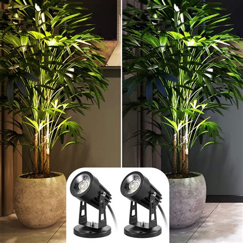 Decorative Indoor Plant Lighting