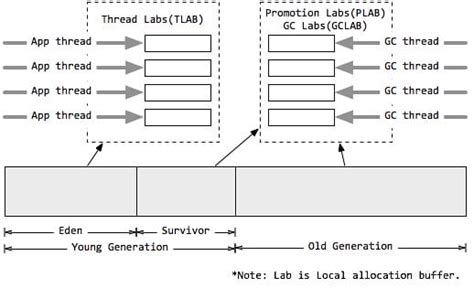 GC Java 的图像结果