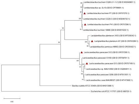 The Biocontrol of Plant Pathogenic Fungi by Selected Lactic Acid ...