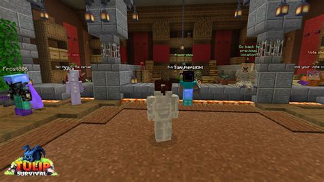 Image result for Minecraft Survival Servers Java