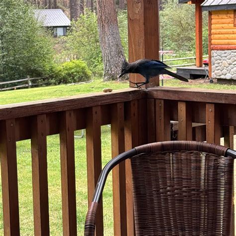 COLD SPRINGS RESORT (Camp Sherman) - Campground Reviews, Photos, Rate ...