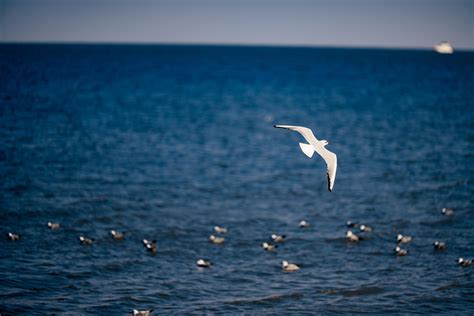 Best Pop Up Tents in 2025 – Camping All