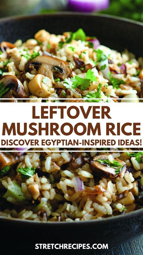Egyptian-Inspired Recipes for Leftover Mushroom Rice | Best rice recipe ...