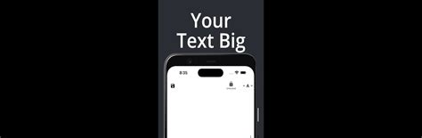 Text Display 的图像结果