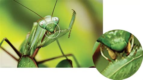 Image result for How Does DPI Work