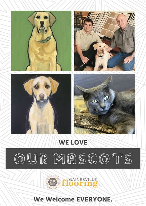 What We Love | Gainesville Flooring