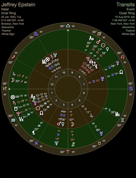 Case Study Of Jeffrey Epstein Using BaZi And Western Astrology: Was He Assassinated? - Sean Chan ...