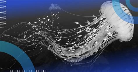 Image result for Python Stratified Sampling Code