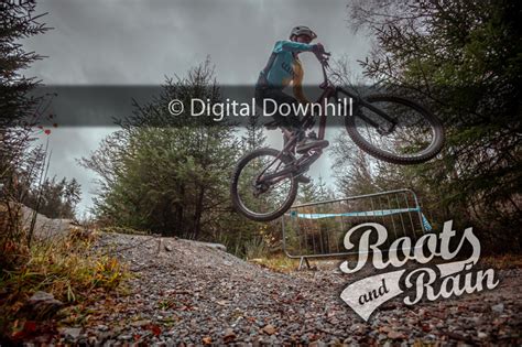 Untagged photo - Roots & Rain