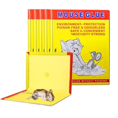 Big Yellow Mouse Glue Pad for mouse, lizard