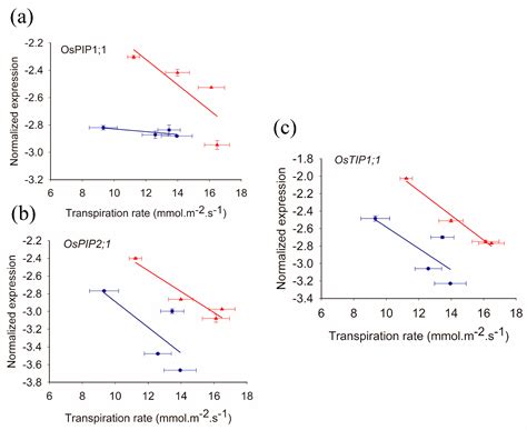 Aquaporin Expression and Water Transport Pathways inside Leaves Are ...
