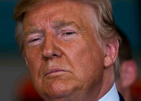 Opinion | Does Donald Trump Want to Be Impeached? - The New York Times