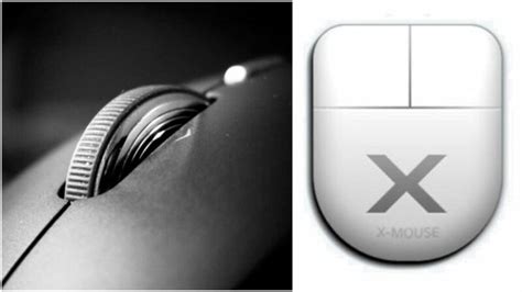 Image result for X-Mouse Tutorial