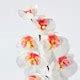 SMYCKA artificial flower, in/outdoor/Orchid white, 60 cm (23 ½") - IKEA