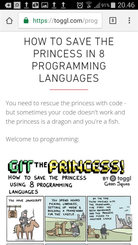 Image result for Princess Programming