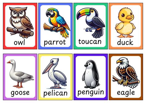 34 Birds Flashcards - Free Printables! - Teach Prints