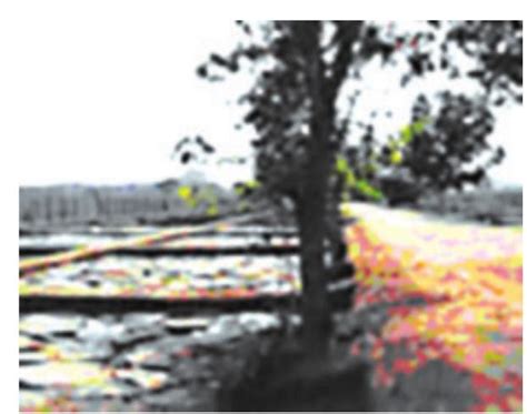 SATHEE: Chapter 07 An Imperial Capital: Vijayanagara (c. Fourteenth to ...