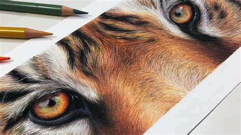 Image result for Colored Pencil Realistic Drawing Tutorial