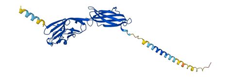 Image result for Protein Structure Modelling